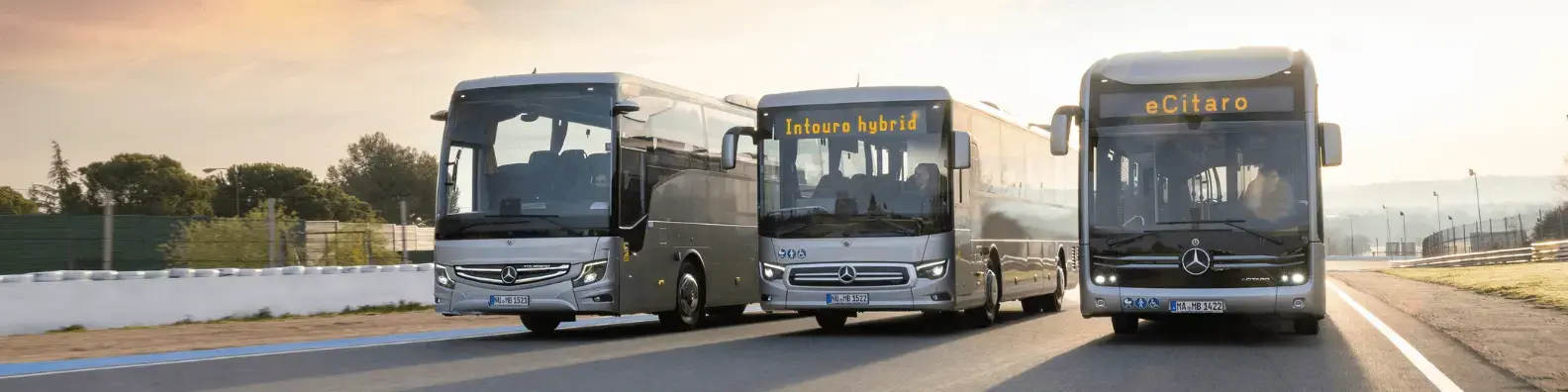 Transport